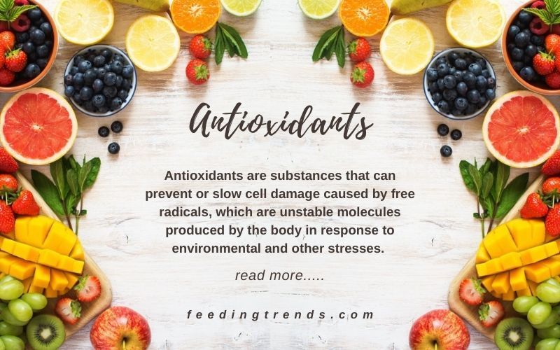 Antioxidants And All You Need to Know About It
