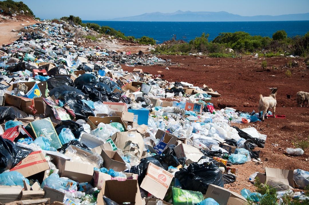 Global Plastic Waste to Oil Market 2022: Report Position 2028
