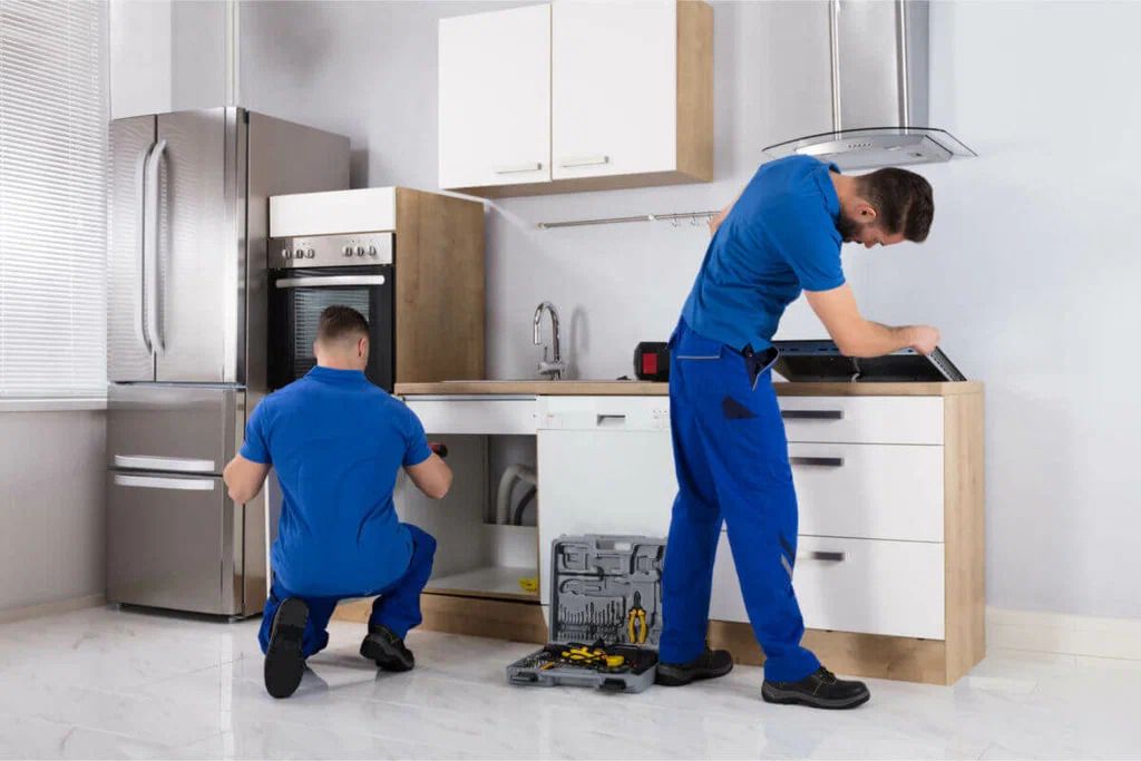 Understanding Professional Appliance System Maintenance and Repair