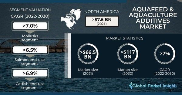 Aquafeed & Aquaculture Additives Market to Hit Us$ 117 Bn by 2030