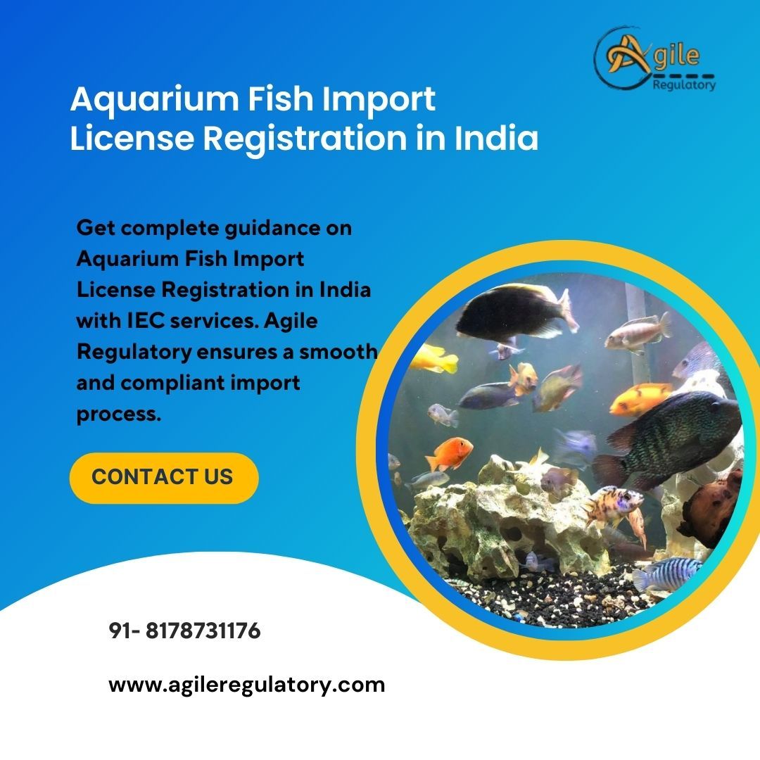 How to Obtain an Aquarium Fish Import License Registration in India