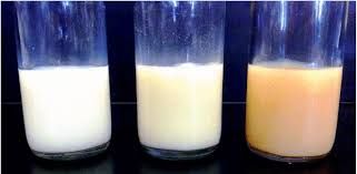 Aqueous Pu Dispersion Market Overview and Analysis Report