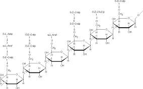 Arabinogalactan Market: Industry Analysis Upto 2028