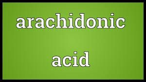 Arachidonic Acid Market Growth | Research Report, 2028