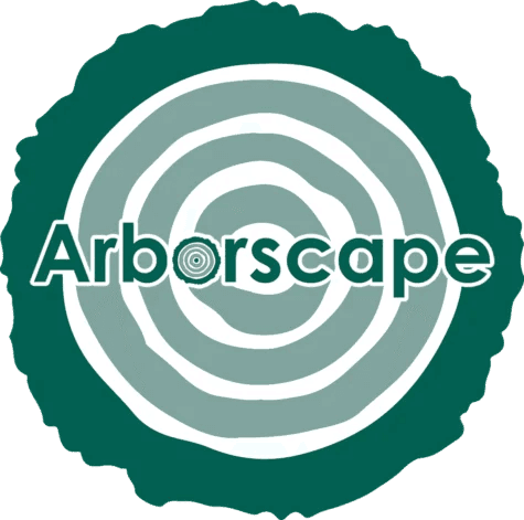 Site Clearance Services in Cumbria – Professional Land Preparation by Arboscapeuk
