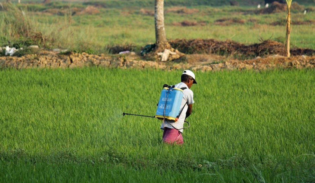 Uae Pesticide Market 2017-2027: Regional Analysis and Forecast 