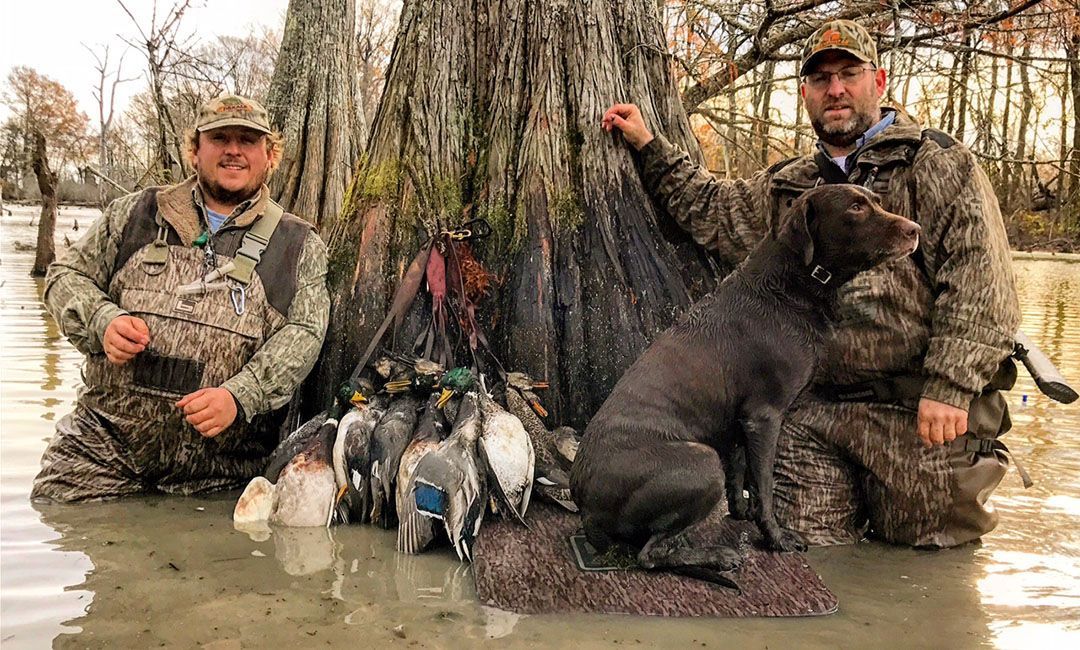 How to Choose Guides for Hunting in Flooded Timber in Arkansas