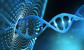 Artificial Intelligence in Genomics Market – Exclusive Reports