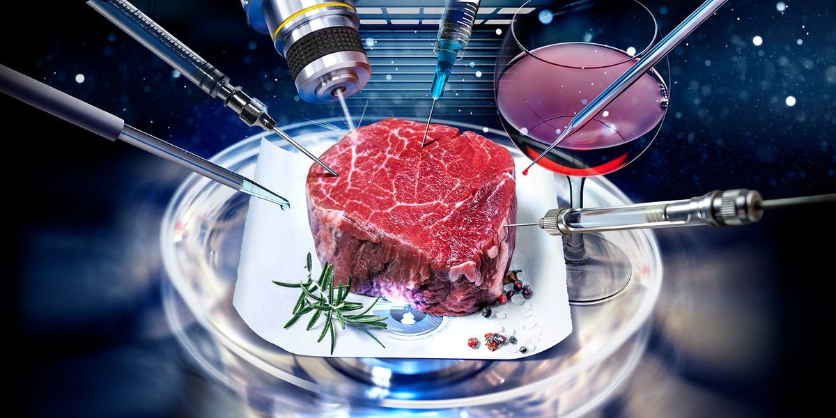 Artificial Meat Market Share, Dynamics & Forecast Report to 2028