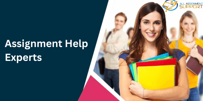 The Path to Achieve Academic Success With Assignment Help Experts