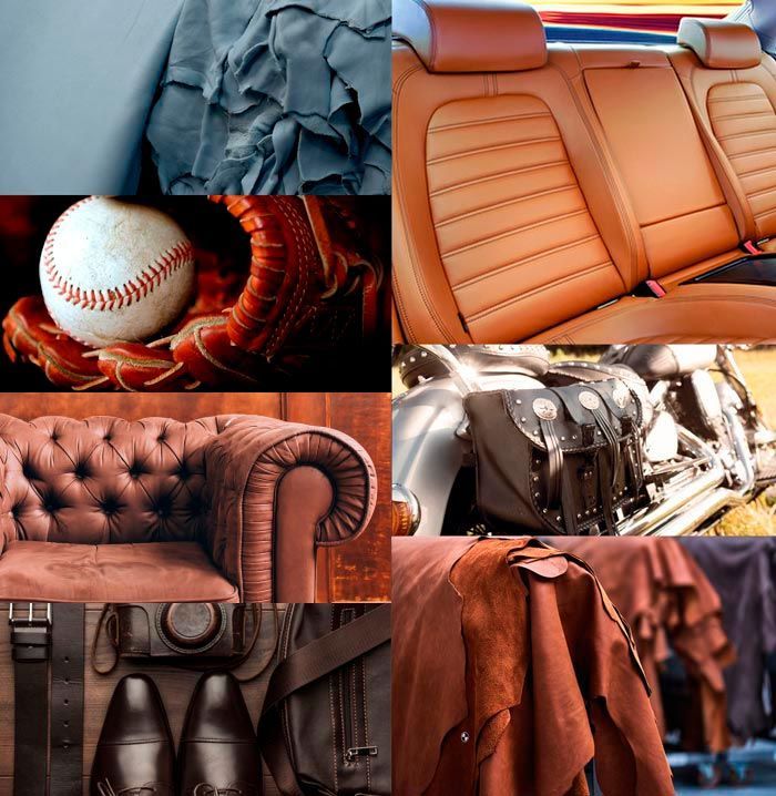 Automotive Bovine Leather Market 2022  Growth Factors & Forecast 