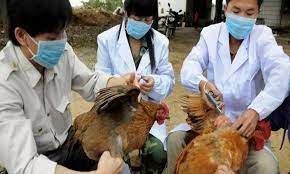Avian Flu Treatment Market Global Forecast to 2028