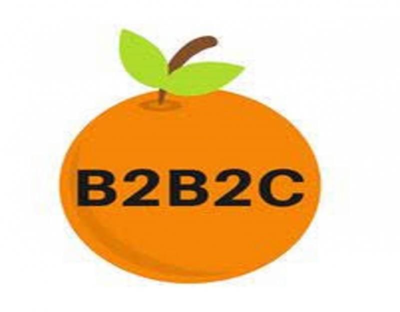 B2b2c Insurance Market Report 2022-2028 | Latest Trend & Growth