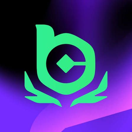 BC Game: Online Gaming and Entertainment Platform