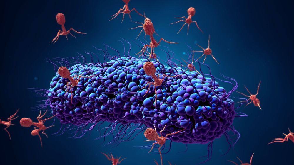 Bacteriophage Therapy Market Forecast 2022-2028