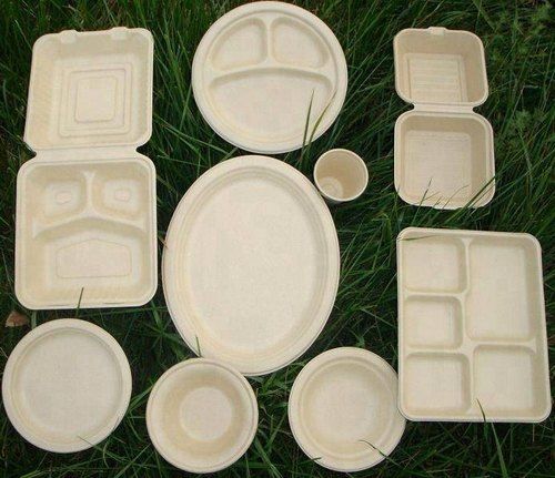Report on Bagasse Disposable Cutlery Market Research 2028