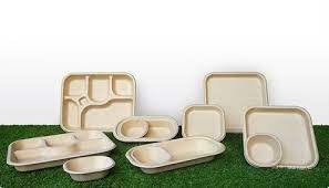 Bagasse Plates Market Size, In-Depth Analysis Report 
