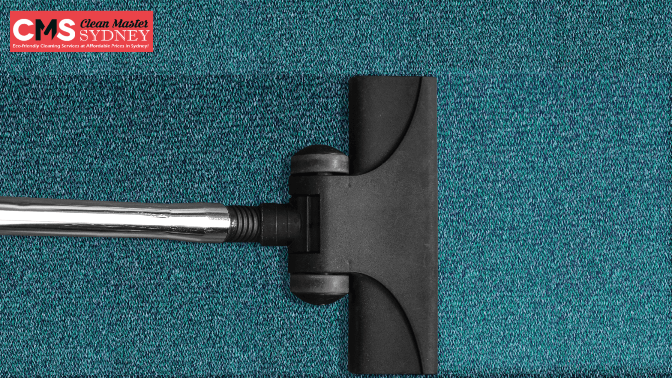 5 Easy Steps to Cleaning Your Carpet Like a Pro