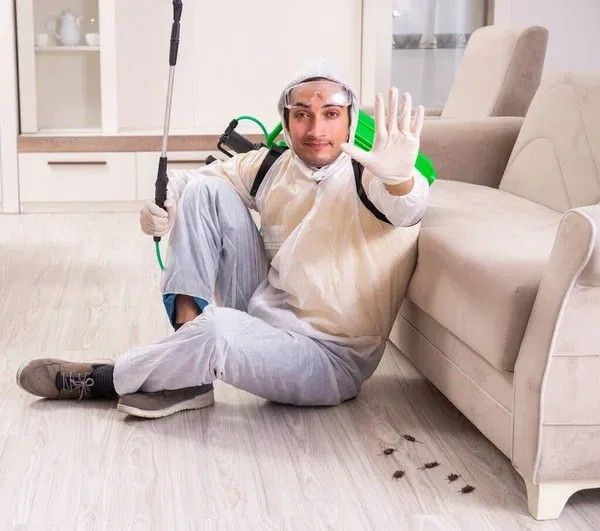 Pest Control Lyalta
