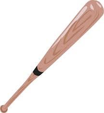 Baseball Bat Market Insight | Outlook | Growth Report 2028