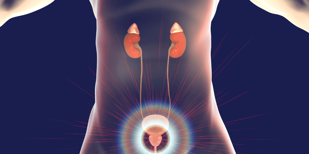 Prostate Adenoma: A Holistic Approac to Wellness and Management
