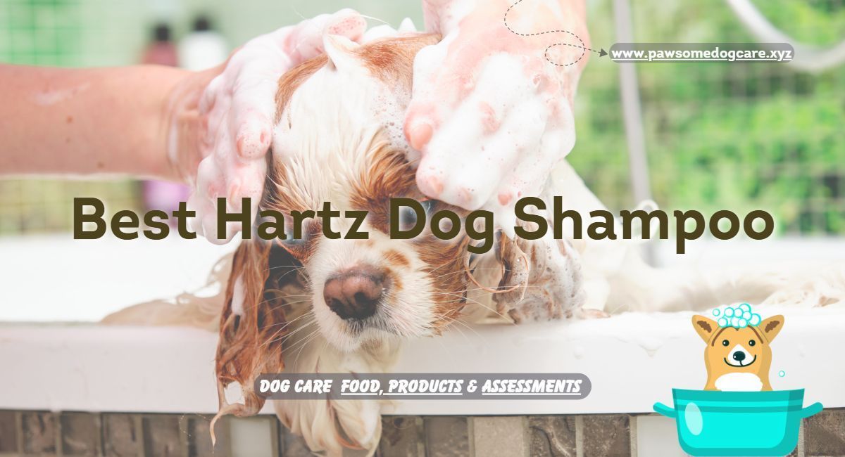 Top Best Hartz Dog Shampoo | Pawsomedogcare