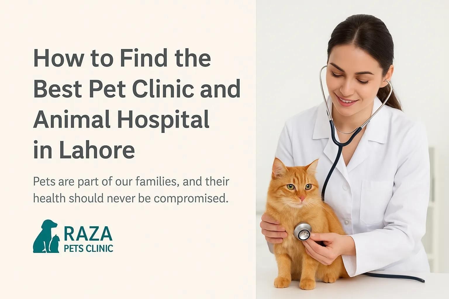 How to Find the Best Pet Clinic and Animal Hospital in Lahore