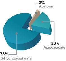 Beta-Hydroxybutyrate Testing Market Size, Share, Growth Report