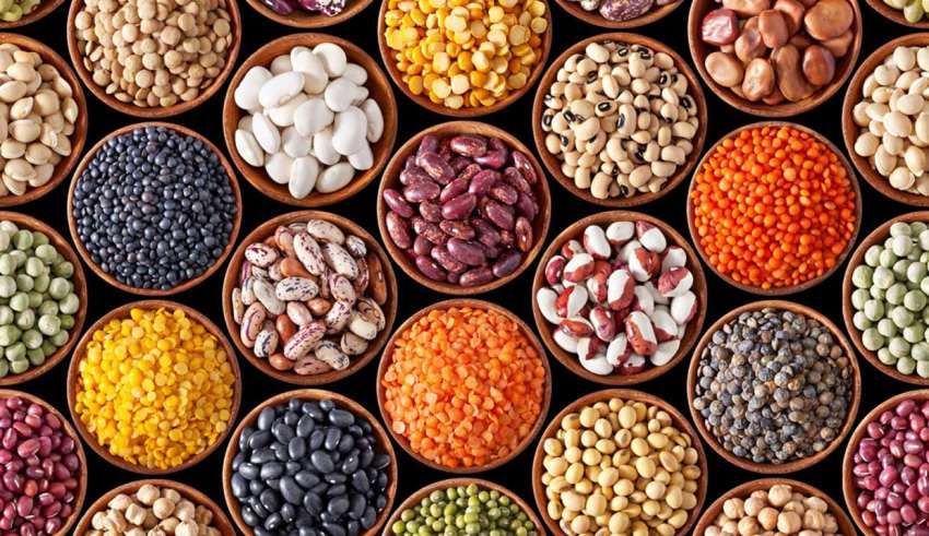 Bioactive Ingredients and Product Market Forecast Trends by 2030