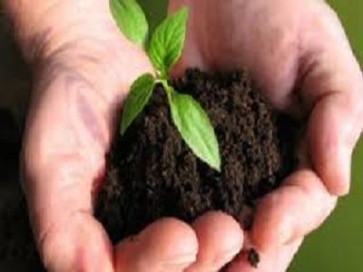 Extensive Demand of Biofertilizers Market & New Developments