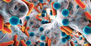 Rare Inflammatory Disease Treatment Market 2022 Research Report