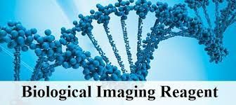Biological Imaging Reagents Market Size, Key Players Analysis