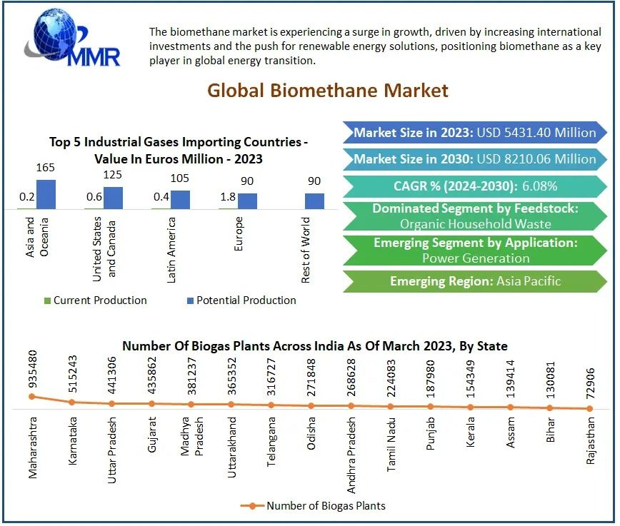 Biomethane Market Size, Application Sectors Forecast 2024-2030