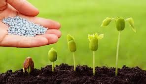 Biopesticides Market: Detailed Analysis by Latest Trends Report