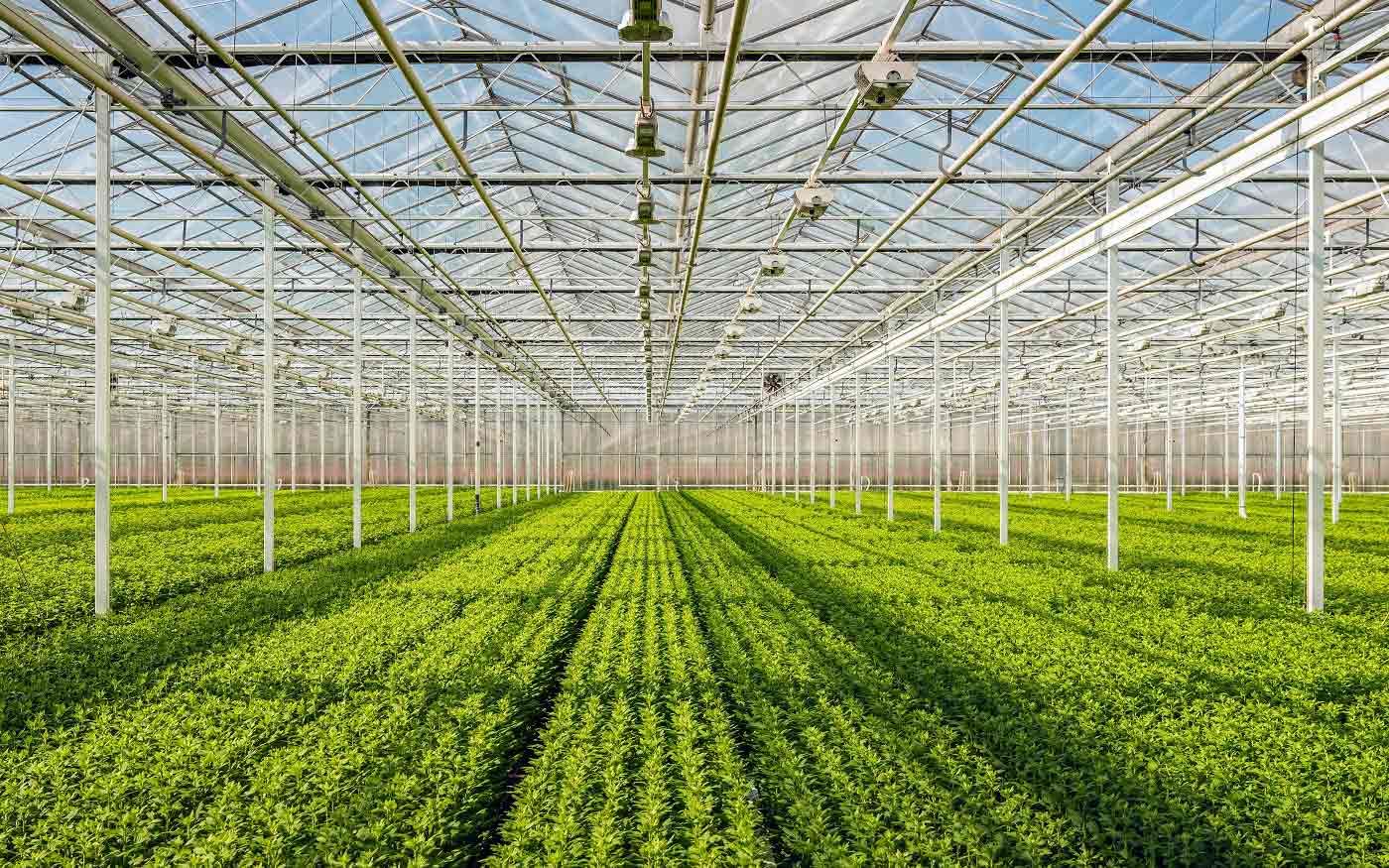 Biorationals Market Dynamics & Latest Trades Report to 2030