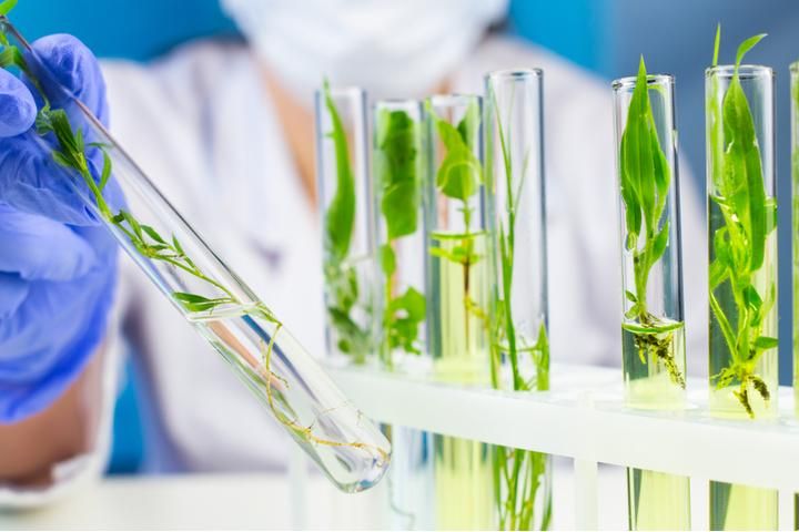 Biotech Ingredients Market at a Cagr of 4.8% From 2022 to 2030