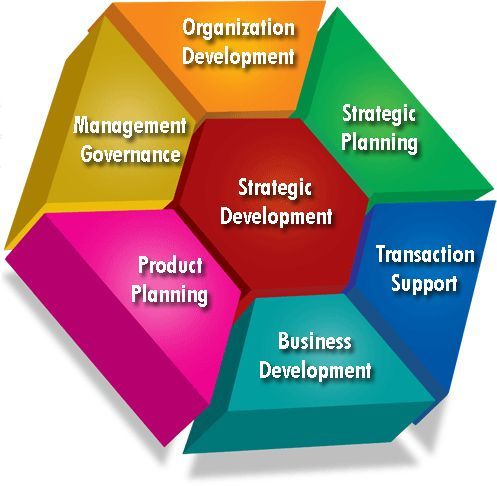 Strategy Execution Management Market 2023 Trend Analysi