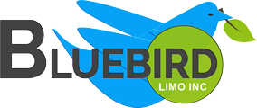 Bluebird Limo Inc