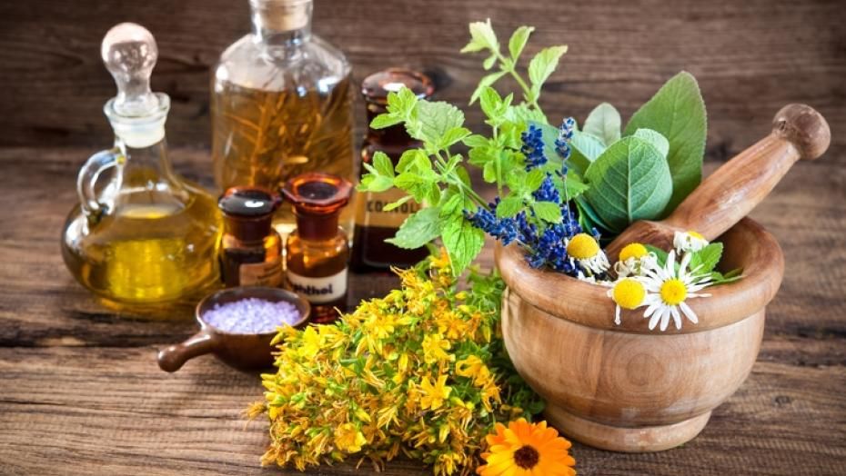 Botanical Supplements Market Demand Analysis, Trends to 2028
