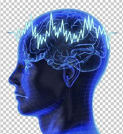 Fnirs Brain Imaging System Market Trends and Forecasts 202