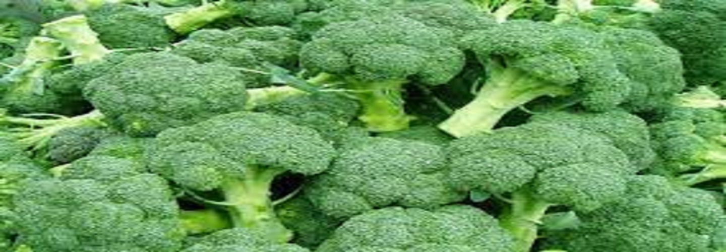 Broccoli Extract Market 2022 Share & Forecast Report to 2028