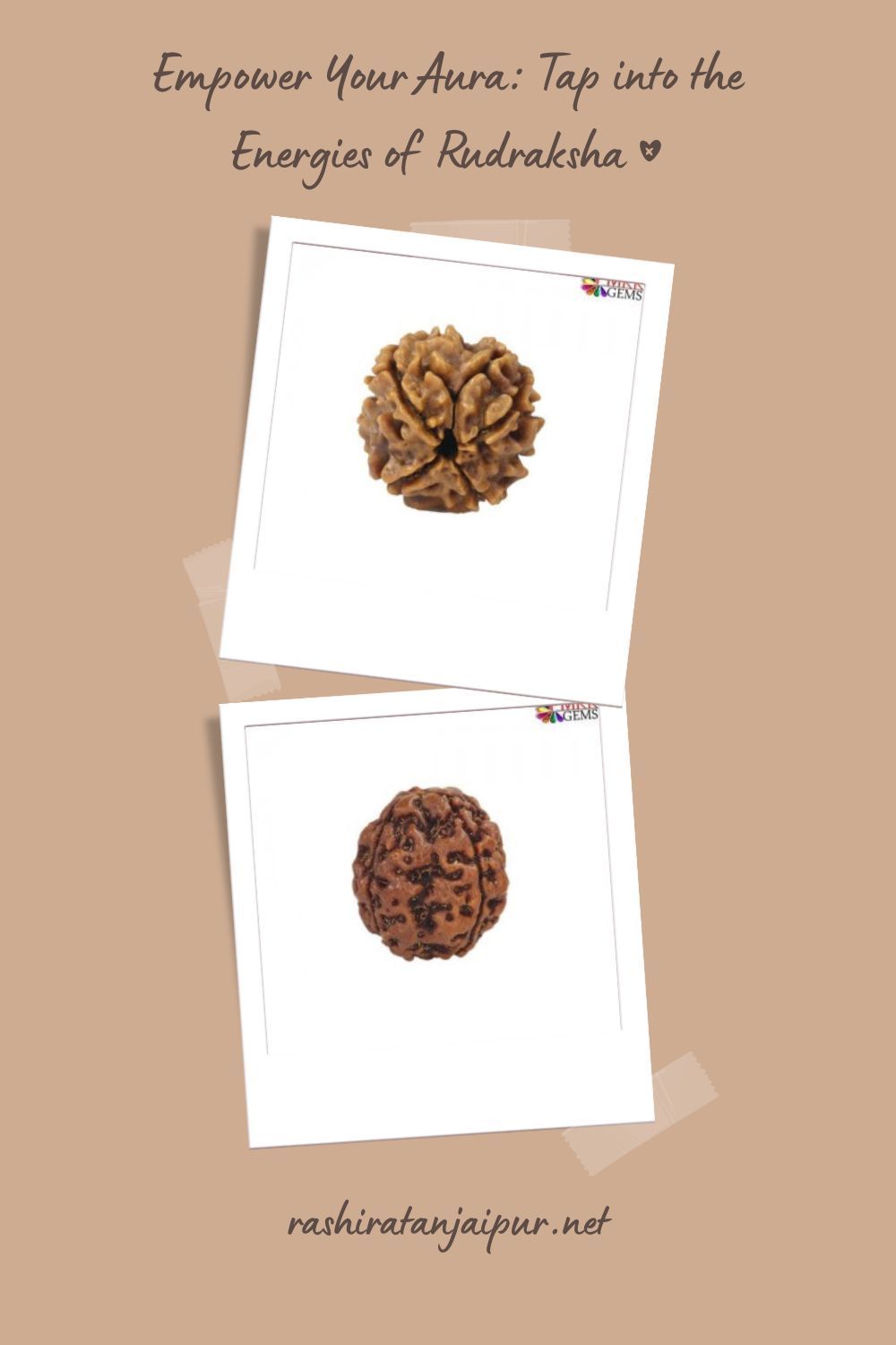 Unveiling the Significance and Benefits of 2 Mukhi Rudraksha