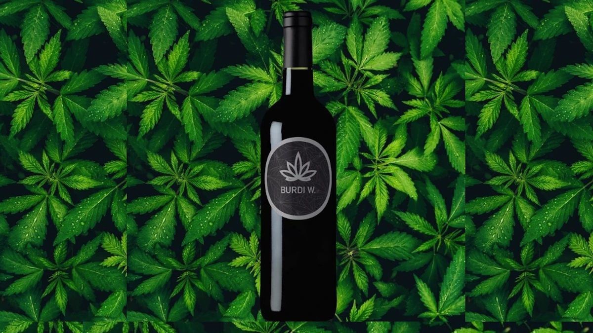 Cbd Wine: A New Era in the Wine Industry 