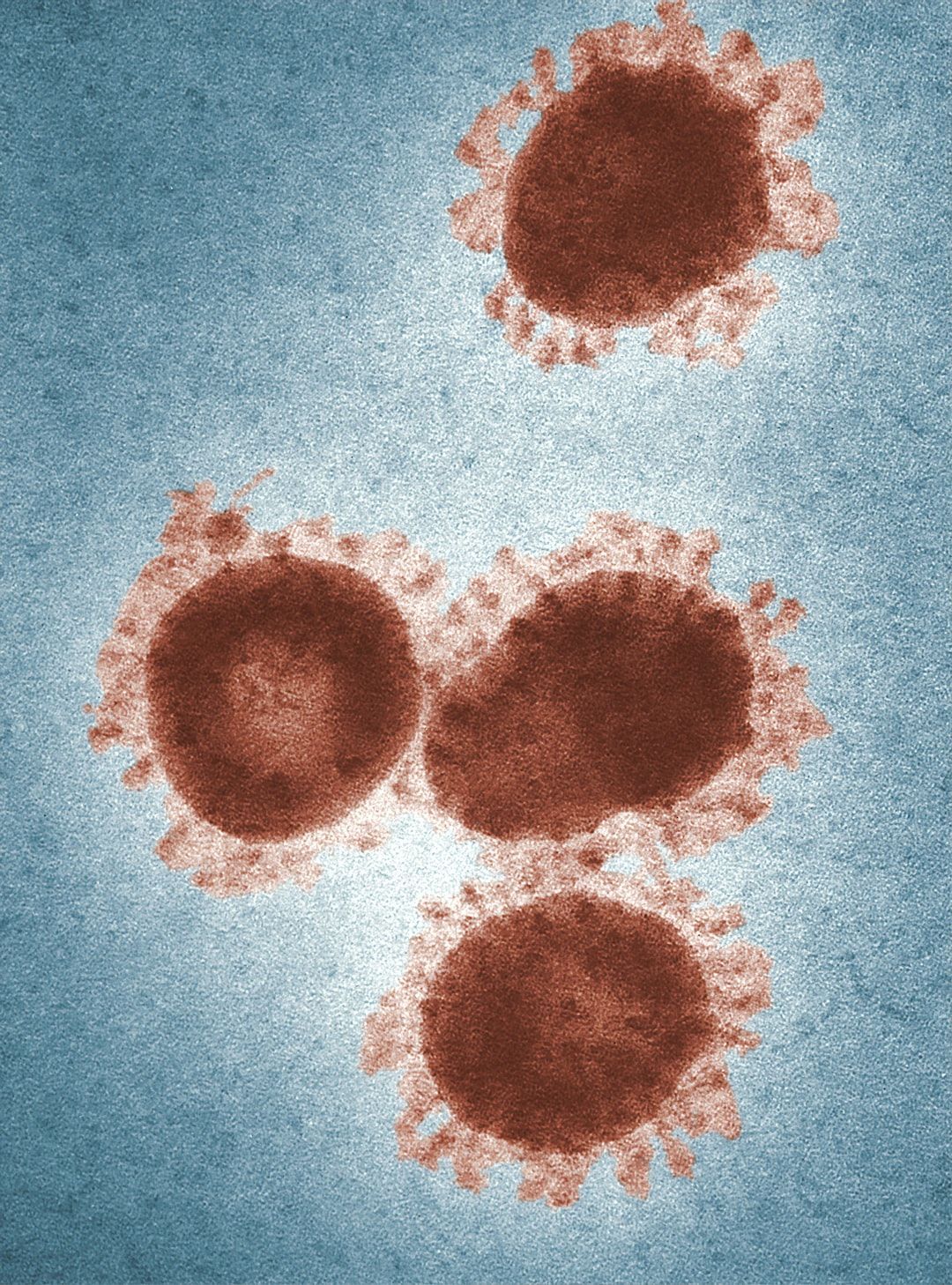 Allergy Immunotherapy Market Quality & Quantity Analysis
