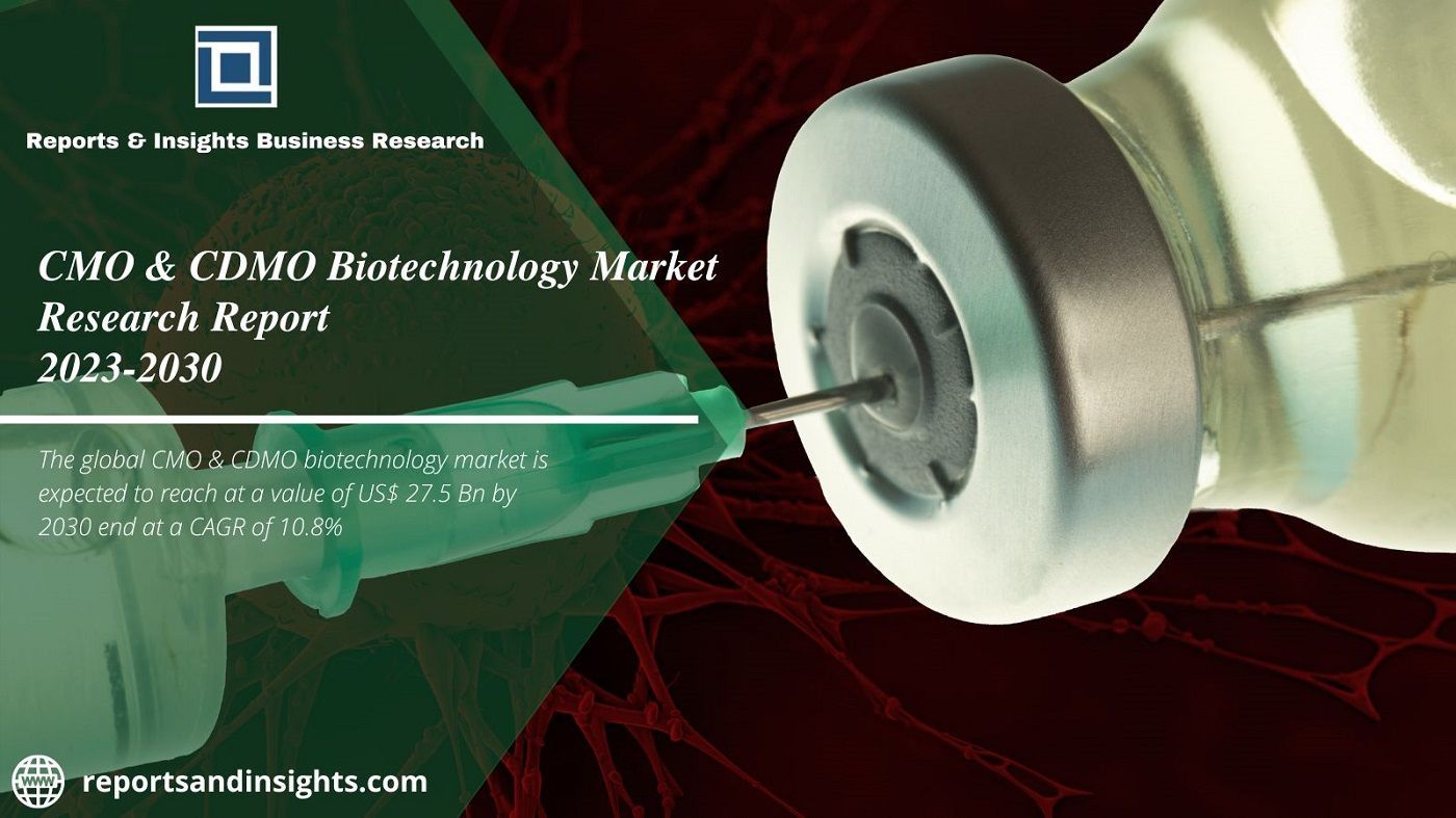 Cmo & Cdmo Biotechnology Market Grow With Top Countries Data 2030