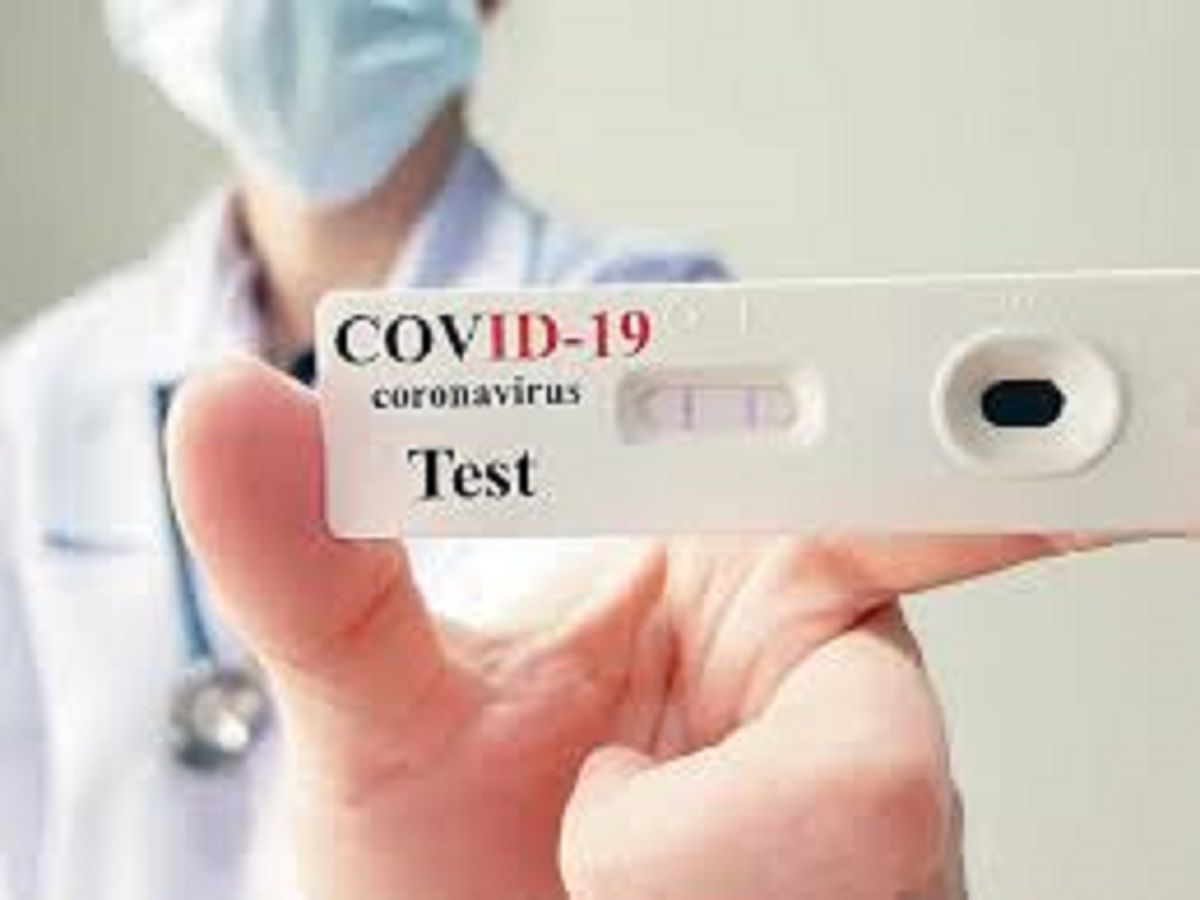 Rt- Pcr Kits Market Size, Share, Analysis and Forecast to 2028
