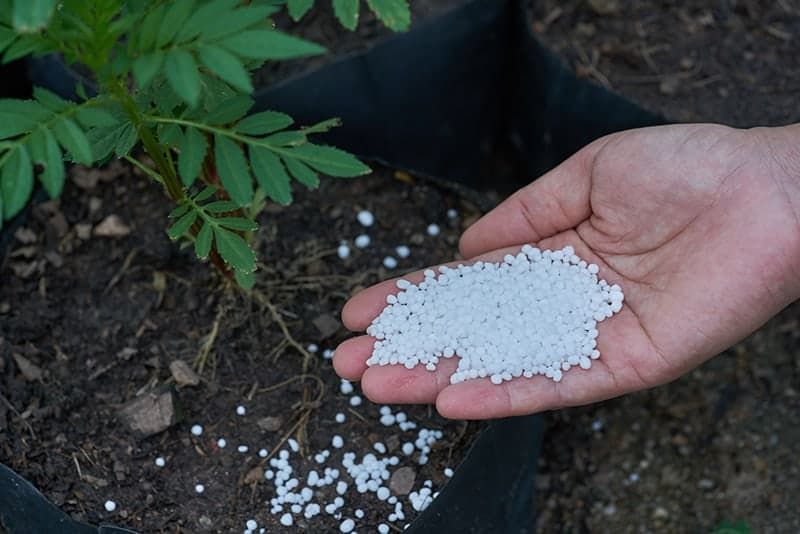 Calcium Nitrate Market Outlook, Demand, Size & Report 2022-2027