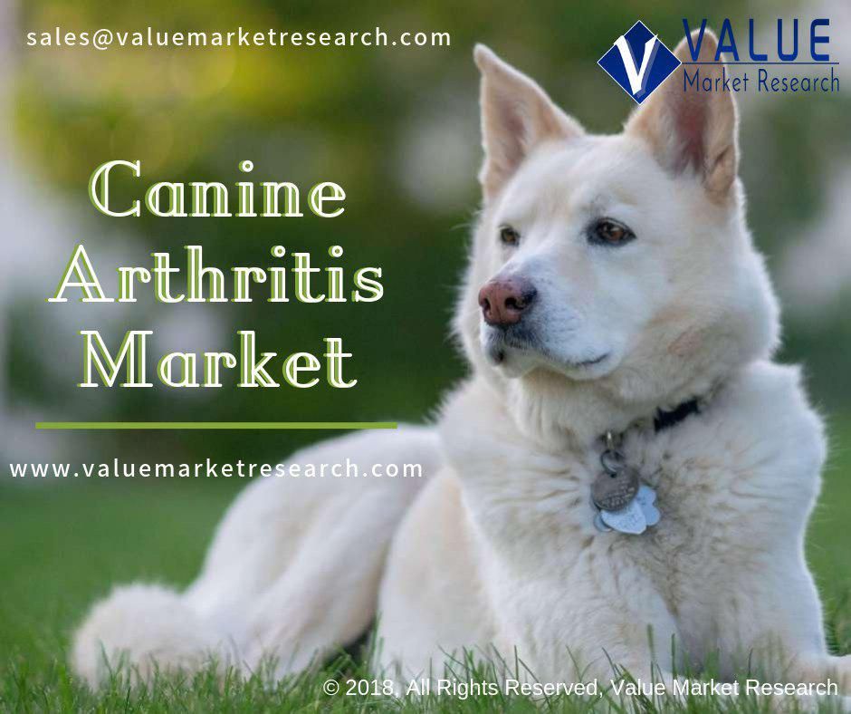 Canine Arthritis Market Growth | Research Report, 2028