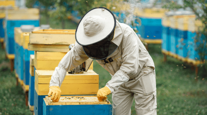 How a Beekeeping Suit Protects Against Stings and What Determines Its Effectiveness