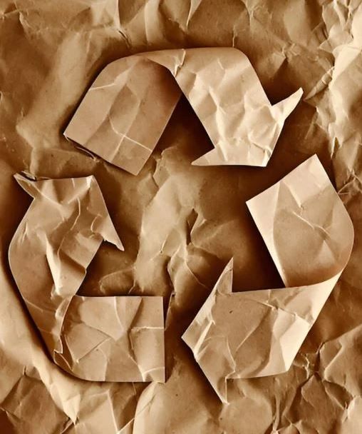How To Choose The Right Paper Recycling Services Provider?